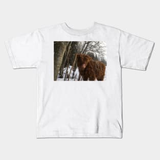 Scottish Highland Cattle Calf 1691 Kids T-Shirt